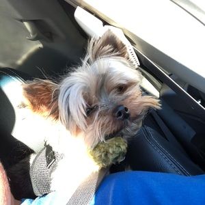 Meet your Posher, Margaret